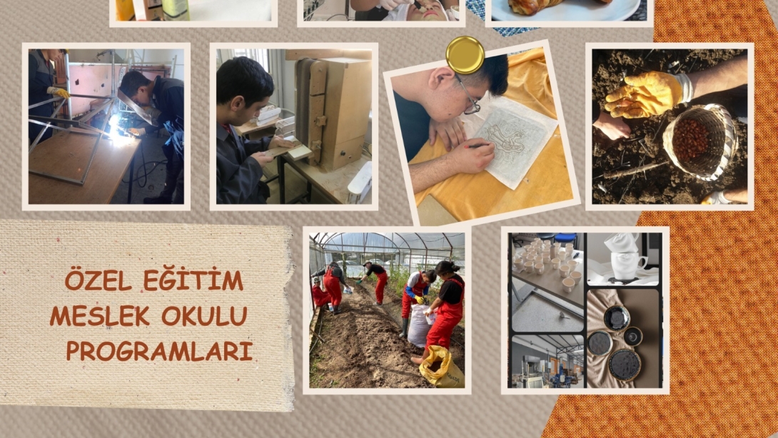 ÖZEL EĞİTİM MESLEK OKULLARI İŞ EĞİTİMİ VE MESLEK AHLAKI DERSİ ALANLARINA AİT PROGRAMLAR GÜNCELLENDİ 